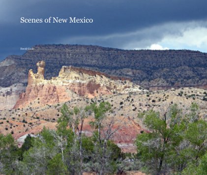 Scenes of New Mexico book cover