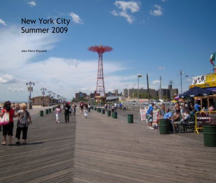 New York City Summer 2009 book cover