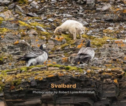 Svalbard book cover