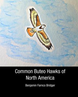 Common Buteo Hawks of North America book cover