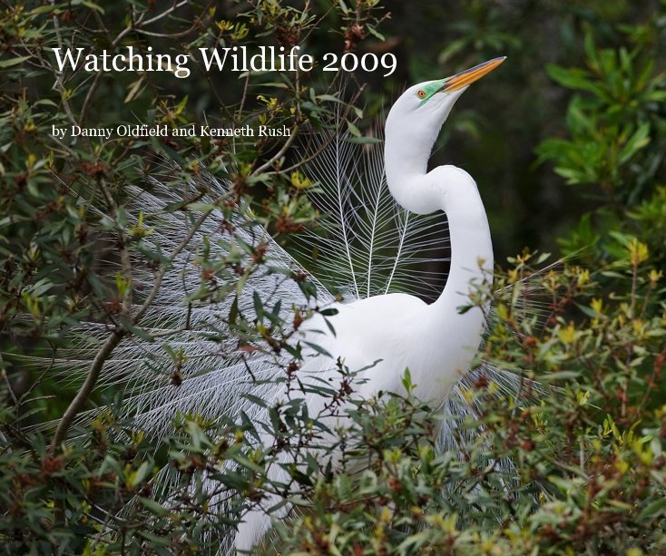 View Watching Wildlife 2009 by Danny Oldfield and Kenneth Rush