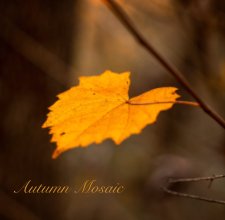 Autumn Mosaic book cover