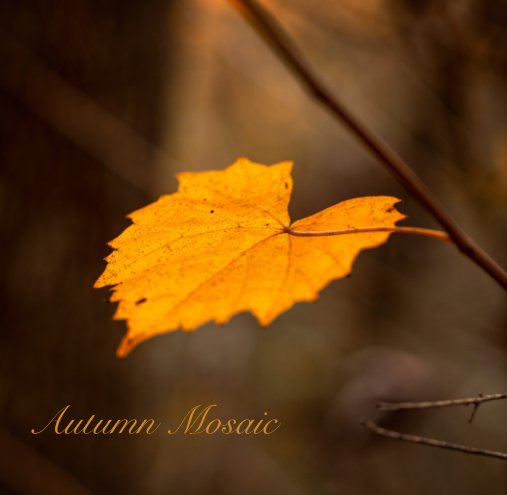 View Autumn Mosaic by Karen Janczak