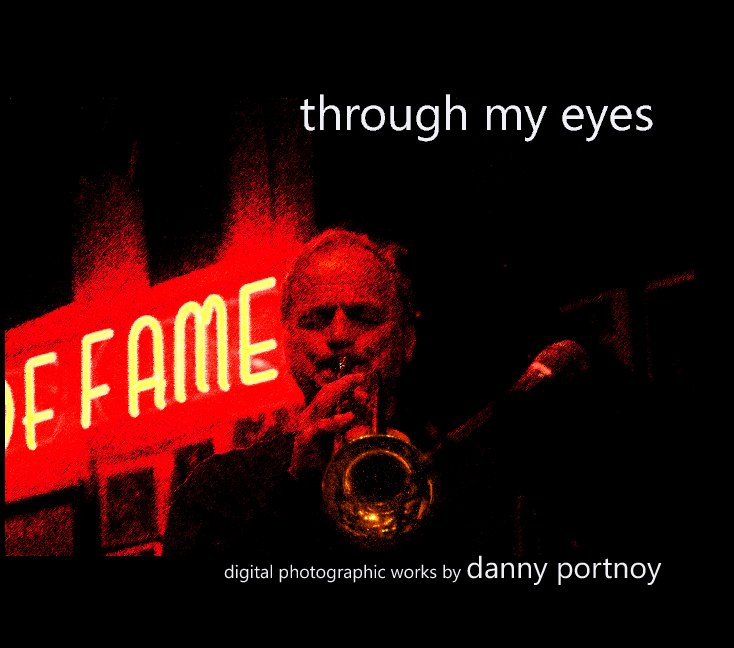 View through my eyes by Danny Portnoy