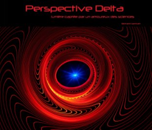 Perspective Delta book cover