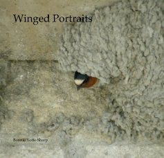 Winged Portraits book cover