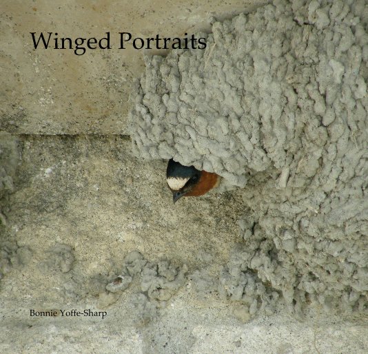 Bekijk Winged Portraits op Bonnie Yoffe-Sharp