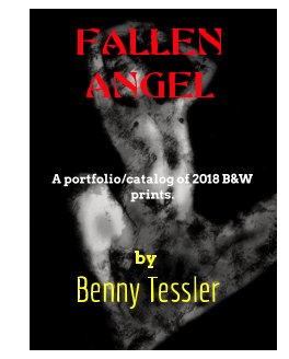 2018 - Fallen Angel 1 book cover