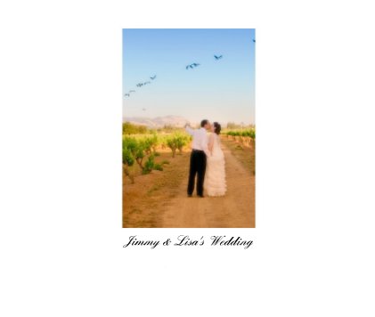 Jimmy & Lisa's Wedding May 16, 2009 book cover