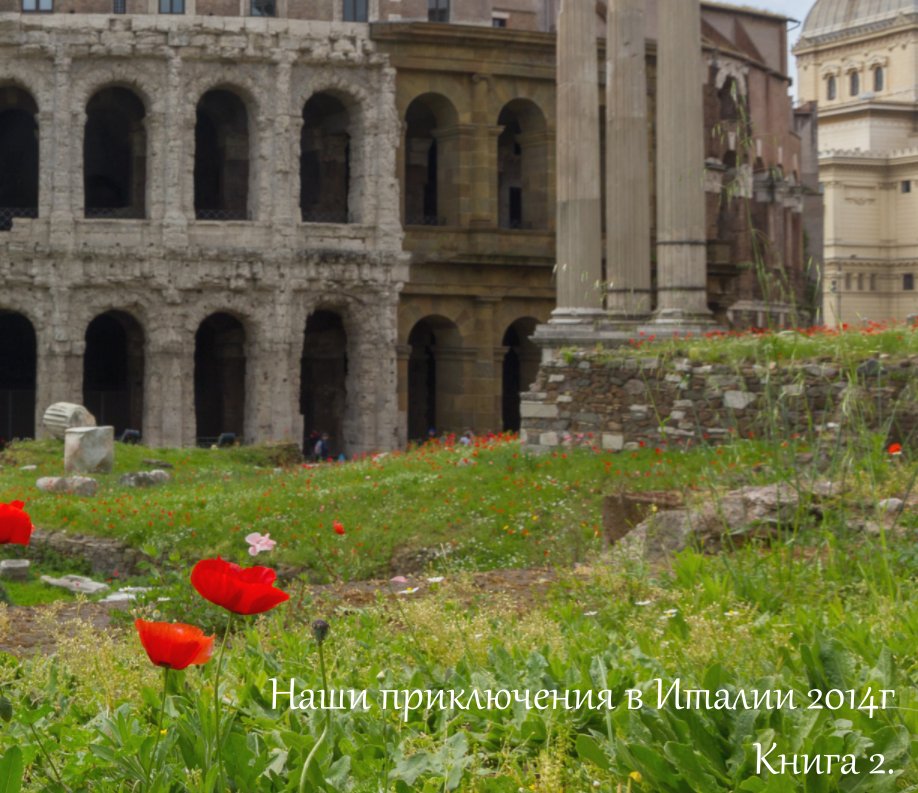 Ver Наши приключения в Италии 2014. Книга 2 por P. Pasynkov