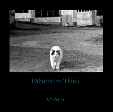 I Shutter to Think book cover