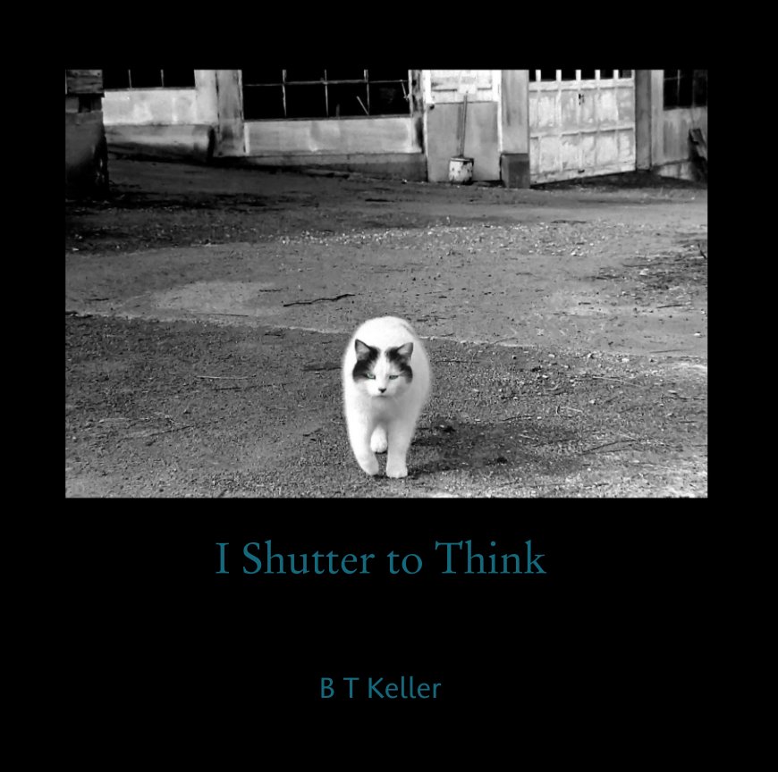 View I Shutter to Think by B T Keller