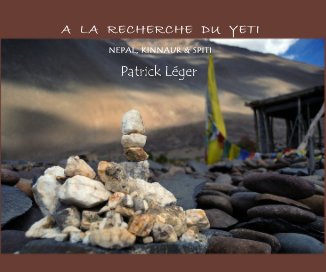 A LA RECHERCHE DU YETI book cover