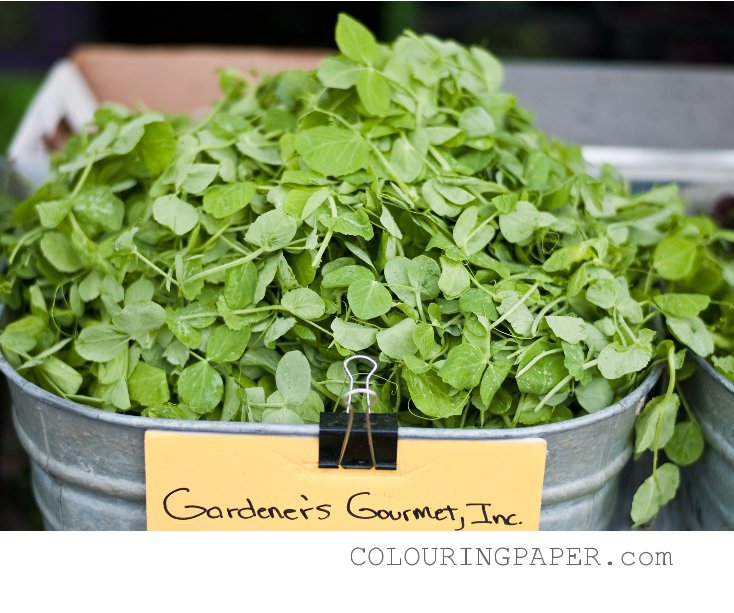 Ver Gardener's Gourmet por COLOURINGPAPER.com