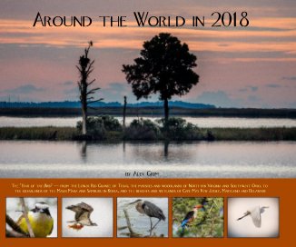Around the World in 2018 book cover