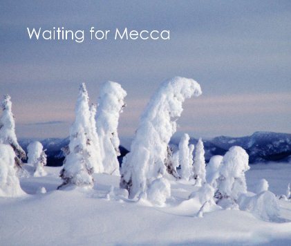Waiting for Mecca book cover