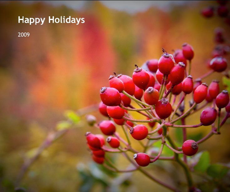 Ver Happy Holidays por http://lammersphotography.com