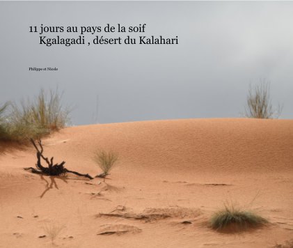 11 jours au pays de la soif Kgalagadi , désert du Kalahari book cover