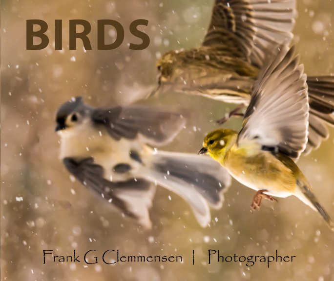 Birds nach Frank G. Clemmensen anzeigen