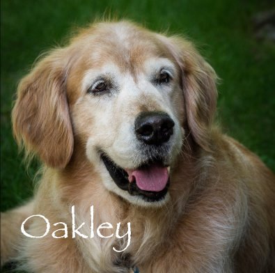 Oakley book cover