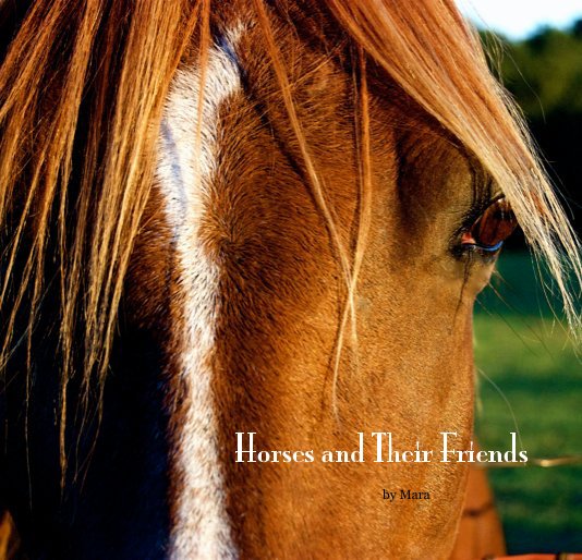 View Horses and Their Friends by Mara