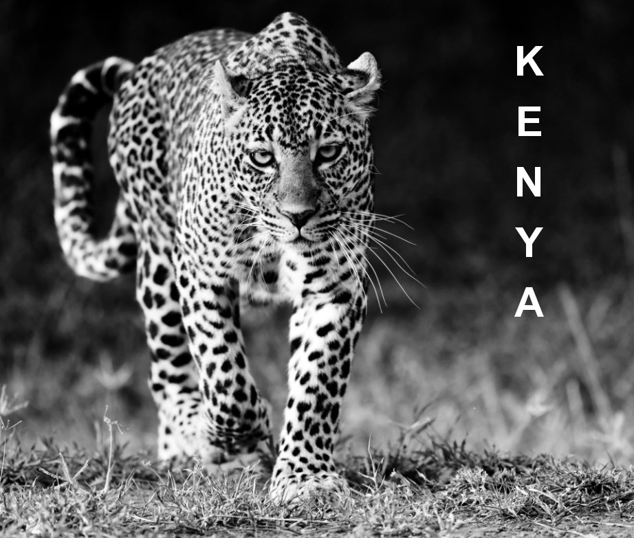 View Kenya by Hervé THEVENET
