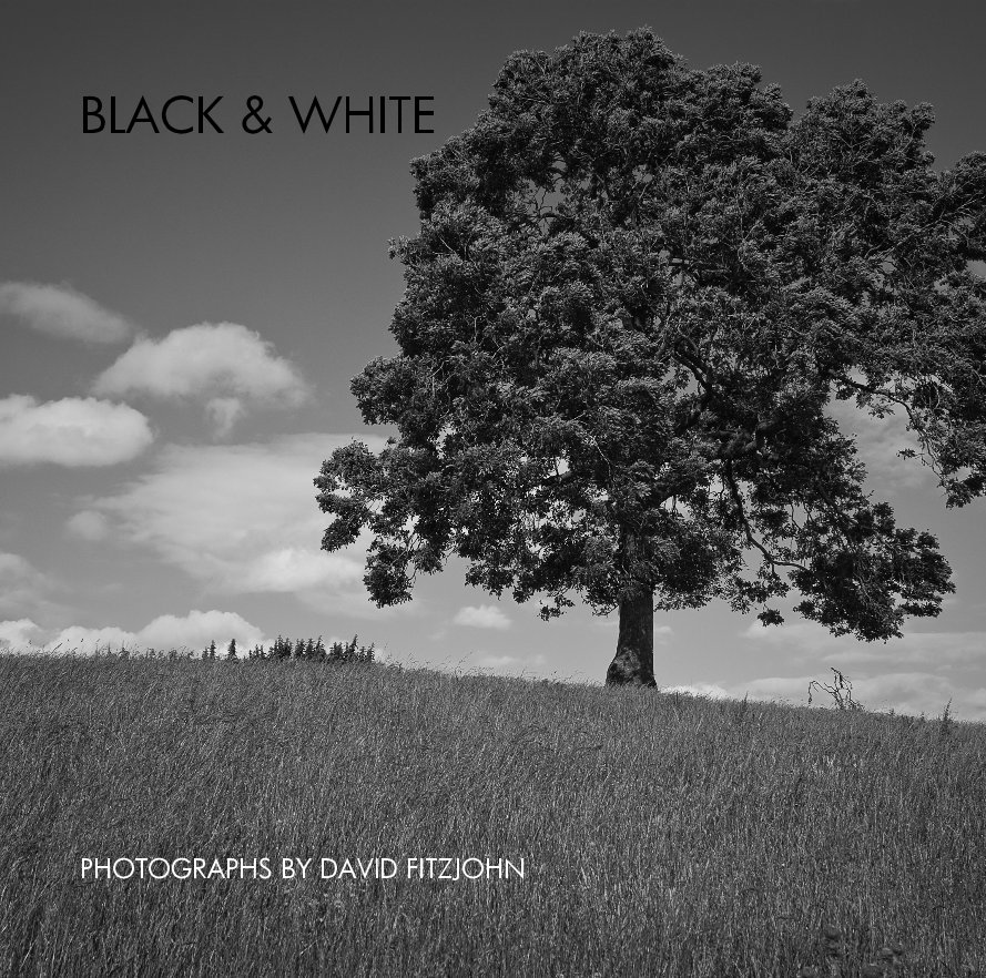 View BLACK & WHITE by PHOTOGRAPHS BY DAVID FITZJOHN
