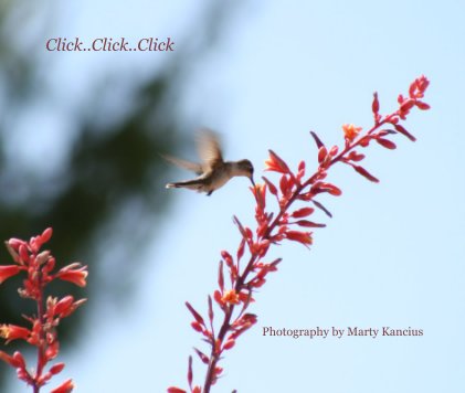 Click..Click..Click book cover