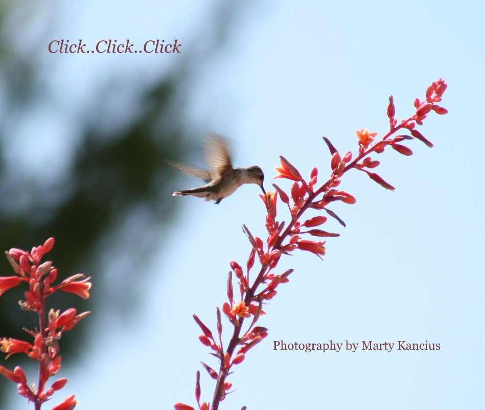 Ver Click..Click..Click por Photography by Marty Kancius