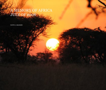 A MEMORY OF AFRICA JULY OF 2008 book cover