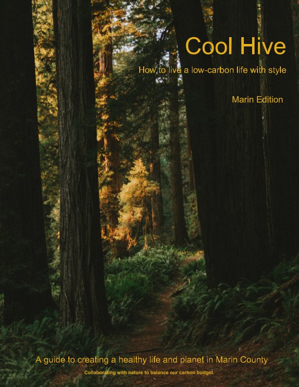 View Cool Hive's Guide to Sustainability in Marin County by Daisy Carlson