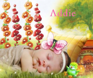 Addie book cover
