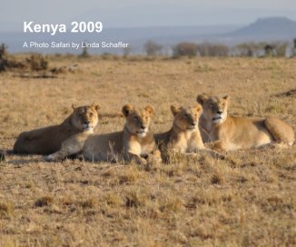 Kenya 2009 book cover