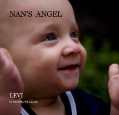 NAN'S ANGEL book cover
