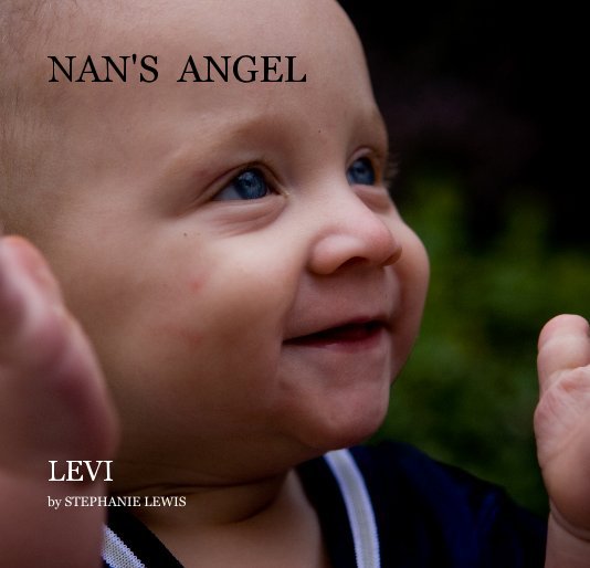 View NAN'S ANGEL by STEPHANIE LEWIS