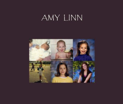 AMY LINN book cover