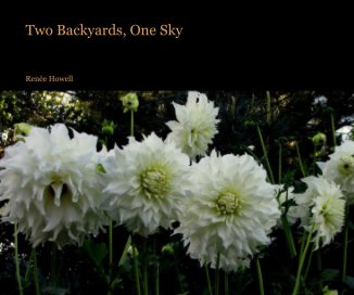 Two Backyards, One Sky book cover