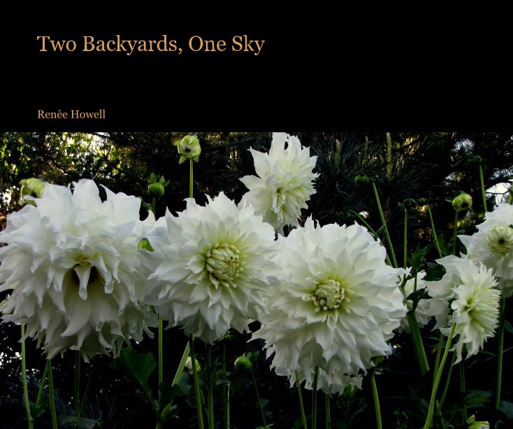View Two Backyards, One Sky by RenÃ©e Howell
