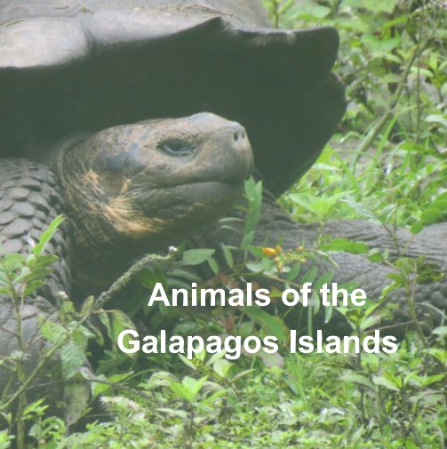 View Animals of the Galapagos Islands by Marianne Chronley
