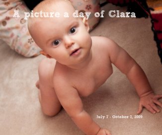 A picture a day of Clara v.4 book cover