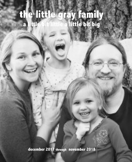the little gray family book cover