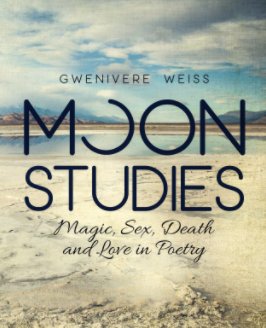 Moon Studies book cover
