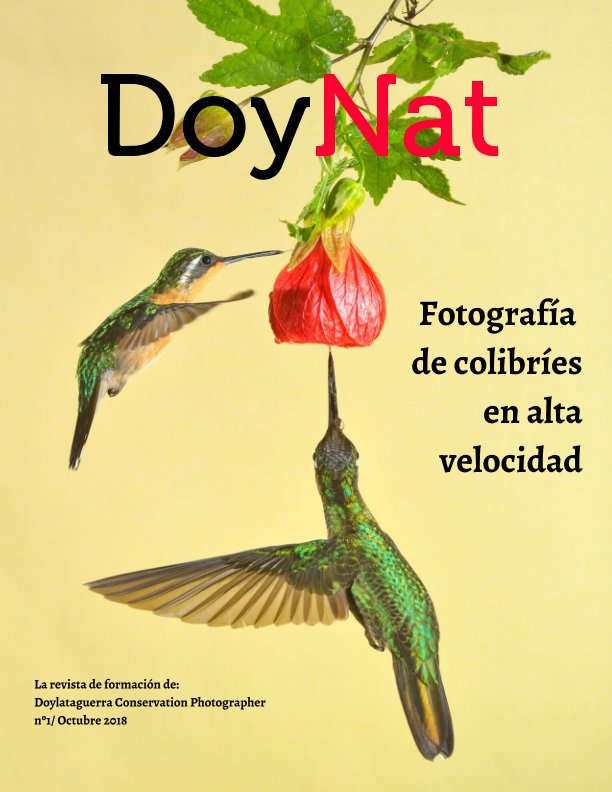 Ver Fotografía de colibríes en alta velocidad por Afonso Lario doylataguerra
