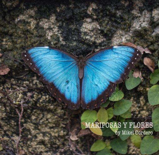 Mariposas y Flores nach Mikel Cordero anzeigen