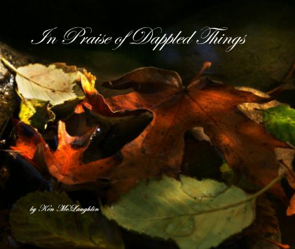 In Praise of Dappled Things book cover