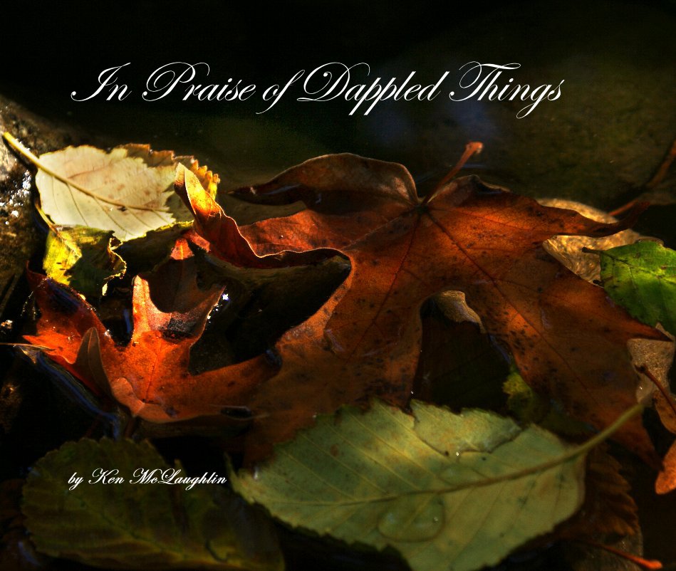 View In Praise of Dappled Things by Ken McLaughlin