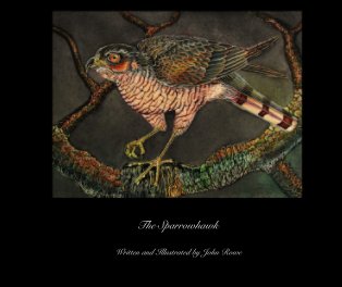 The Sparrowhawk book cover