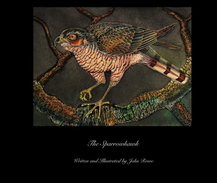 View The Sparrowhawk by Written and Illustrated by John Rowe
