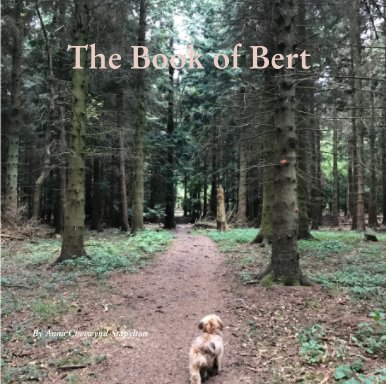 The Book of Bert book cover