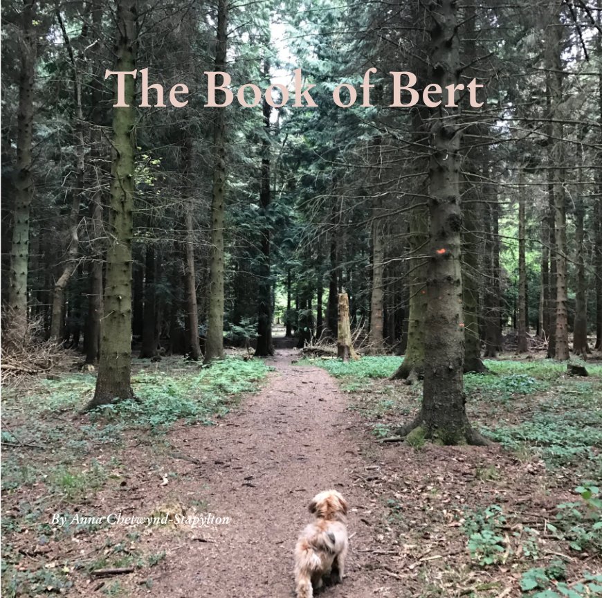 View The Book of Bert by Anna Chetwynd-Stapylton